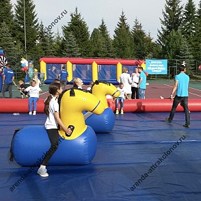 Кони «Поло Надувное»