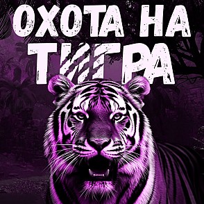 Игра «Охота на тигра»