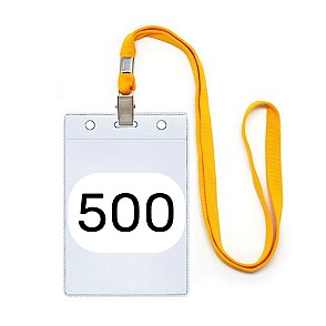 Регистрация на 500 человек