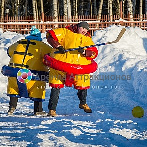 Сумохоккей