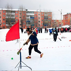 Хоккей с метлами